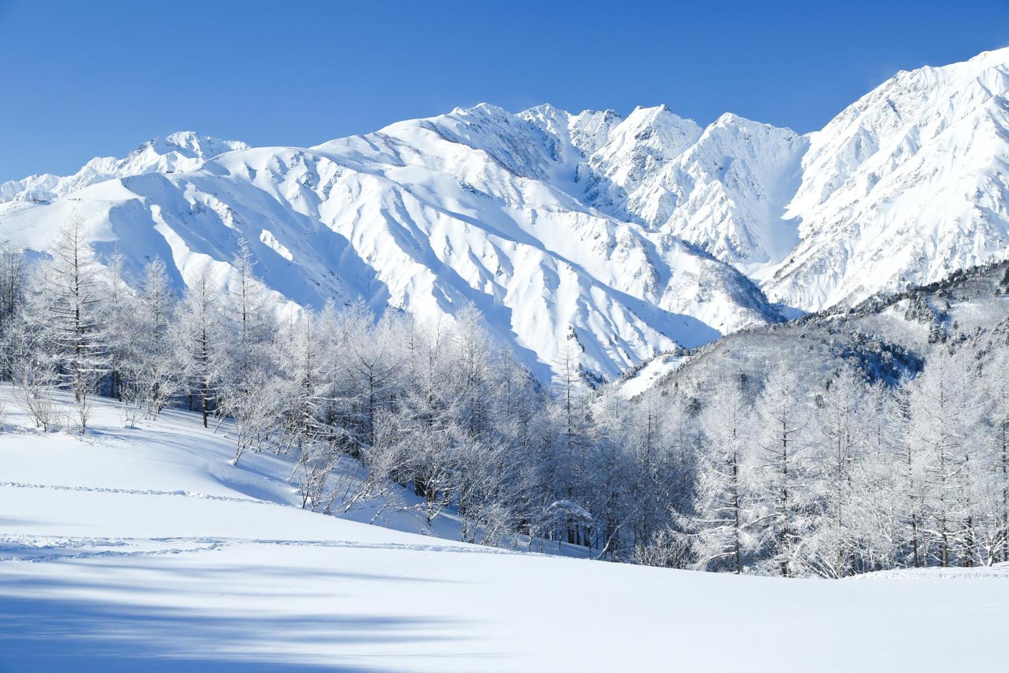 Hakuba Hatago Maruhachi Exterior photo